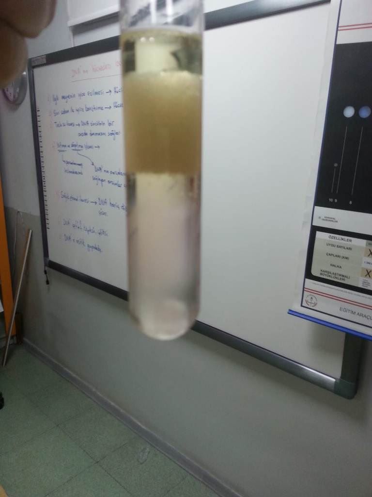 meyvelerden dna izolasyonu